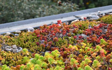 the cost of Bullwood green roof installation