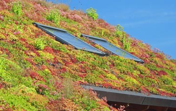 Bullwood living roof systems