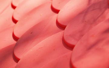 Bullwood plastic roof costs